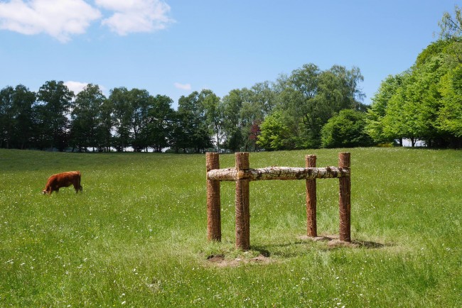 1m37 at the withers, the balance in the earth -