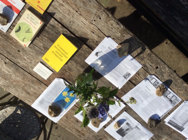 The Summer Reading Club -