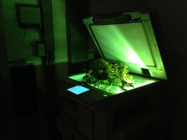 The spring reading club - 